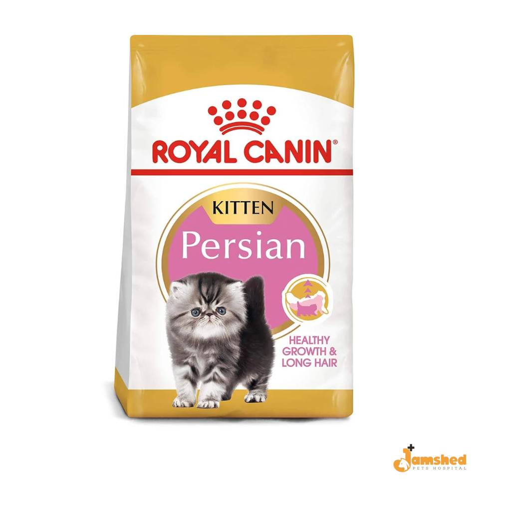 Persion Kitten (2kg)